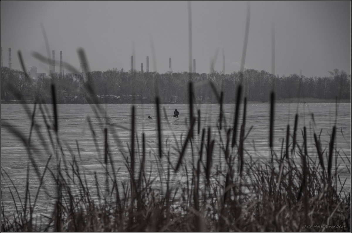 ������, �����, ������� � ���������... ����� ����� ���� �� PhotoGeek.ru #������ ��� ������� #��������