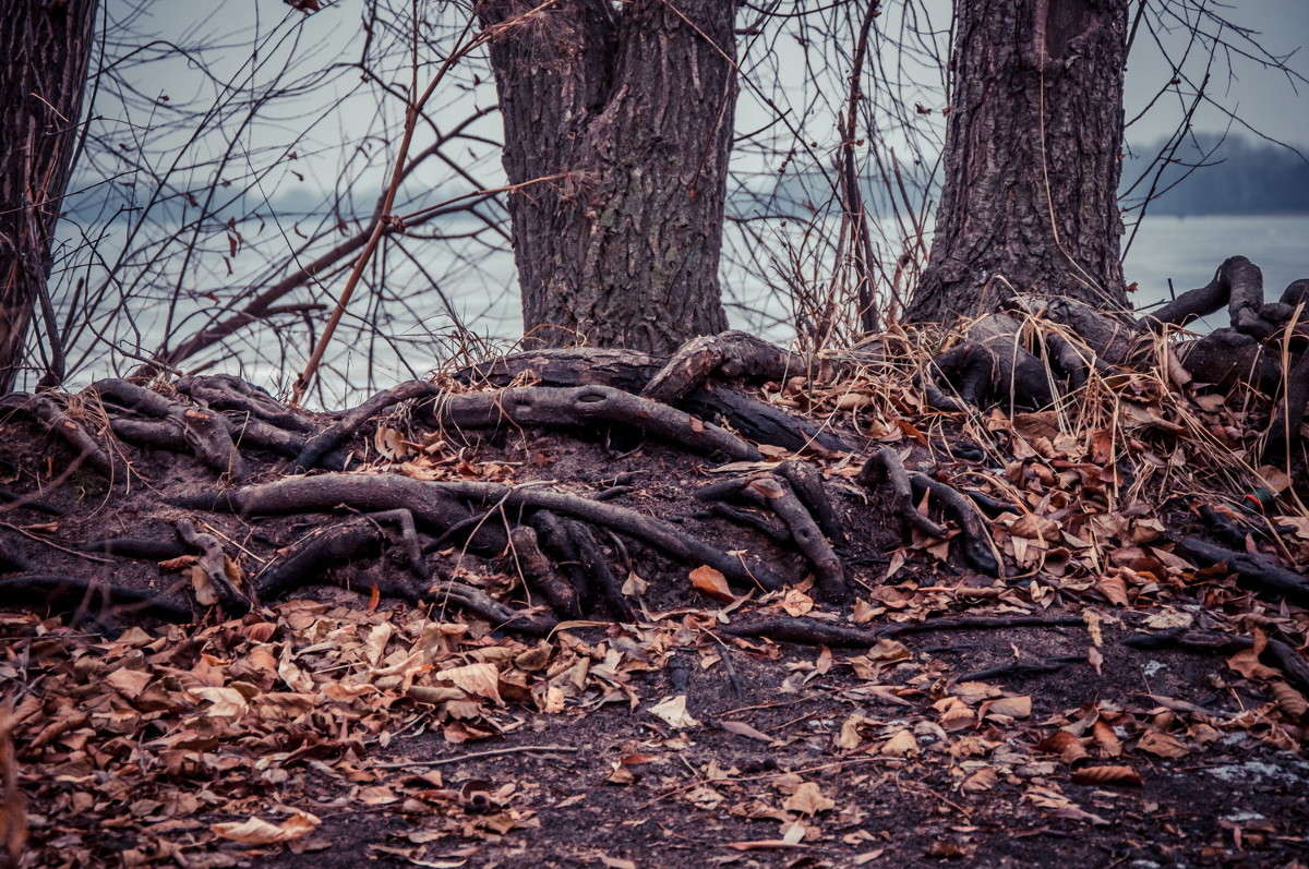 ��������� ������� ����� ����� ���� �� PhotoGeek.ru #������ ��� �������