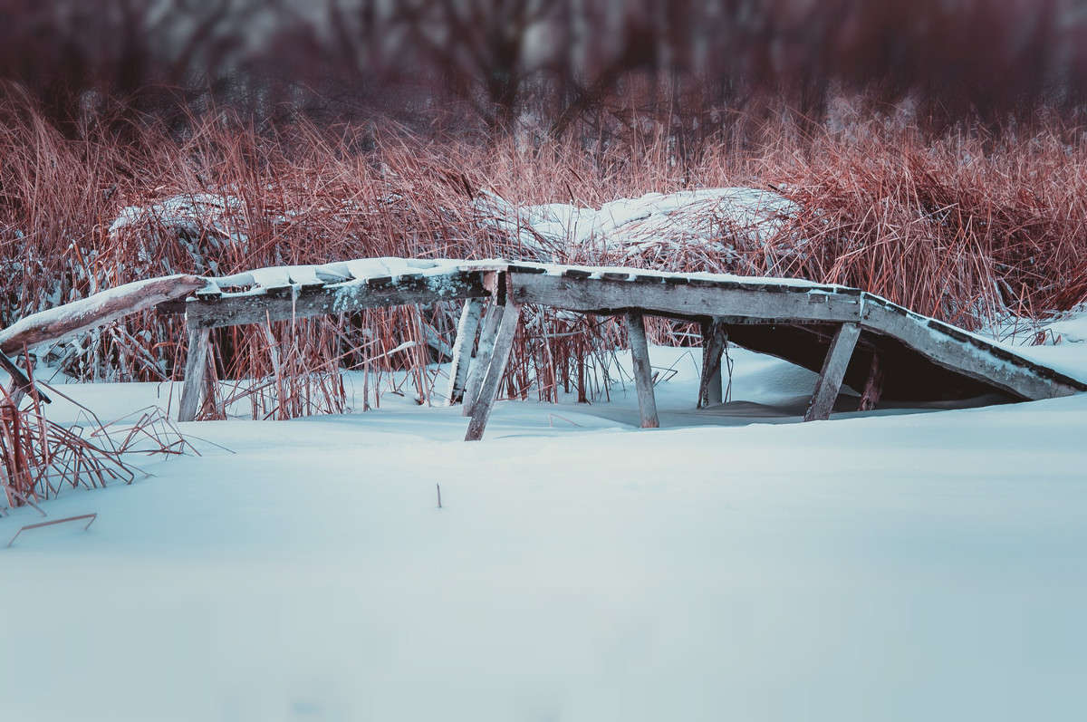 ������ ������� ����� ����� ����� ���� �� PhotoGeek.ru #������ ��� �������