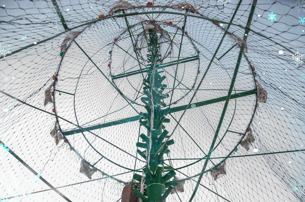 ������ ������ ����� ����� ���� �� PhotoGeek.ru #�����