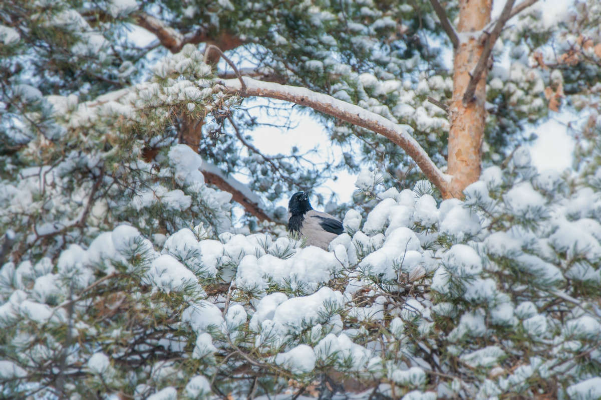 �� ���� ����� ����� ����� ���� �� PhotoGeek.ru #�������� ��� #������ ��� �������