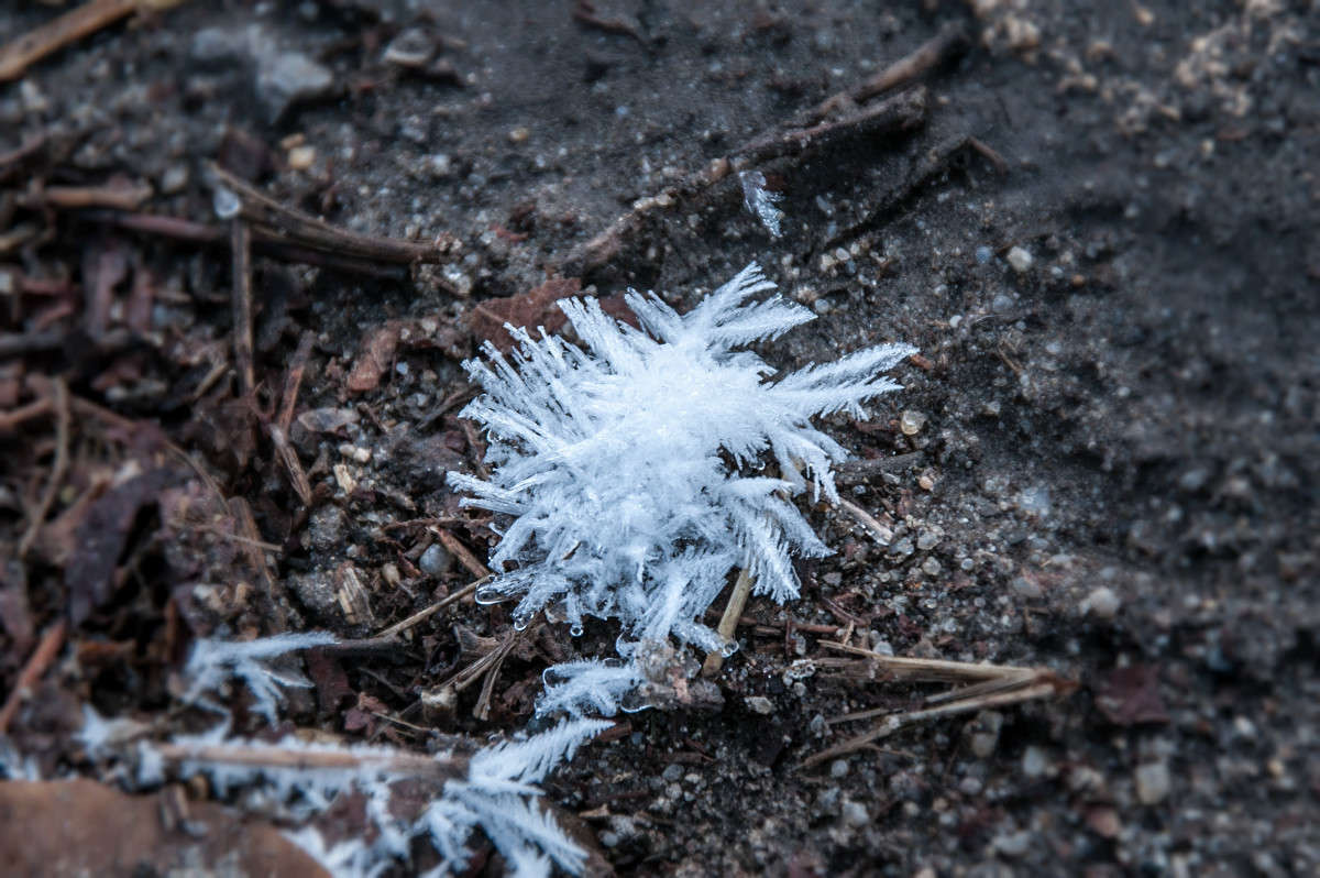 ������� ������ ������ ����� ����� ���� �� PhotoGeek.ru #����� #������ ��� �������