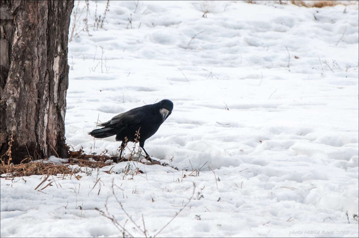 ��-��... ����� ����� ���� �� PhotoGeek.ru #�������� ��� #������ ��� �������