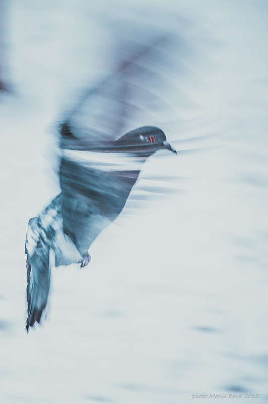 ����� ����� ����� ���� �� PhotoGeek.ru #�������� ���