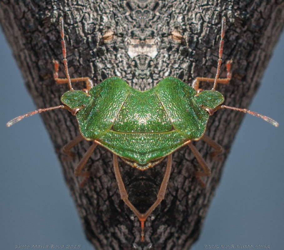 ��� ����� ����� ���� �� PhotoGeek.ru