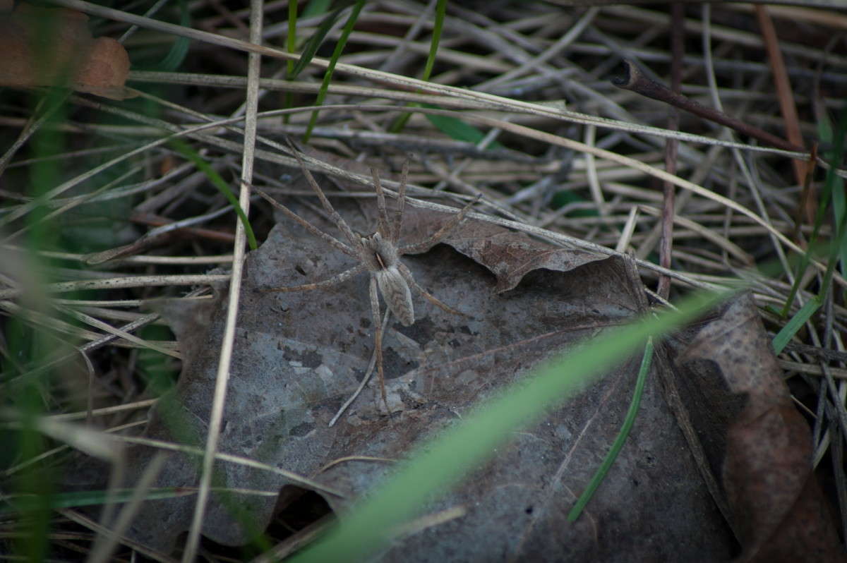 ��� �� ���������, � �� �������! ����� ����� ���� �� PhotoGeek.ru #�����