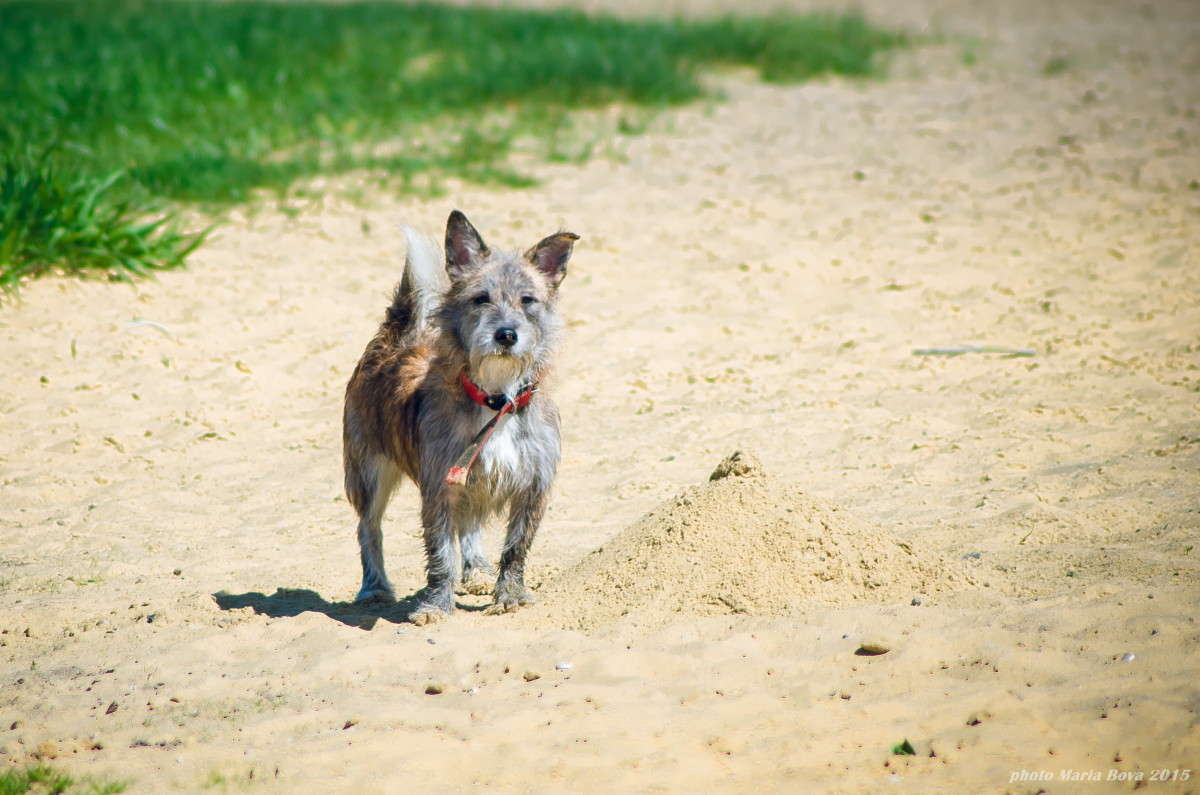 ���! ����� ����� ���� �� PhotoGeek.ru #�������� ���