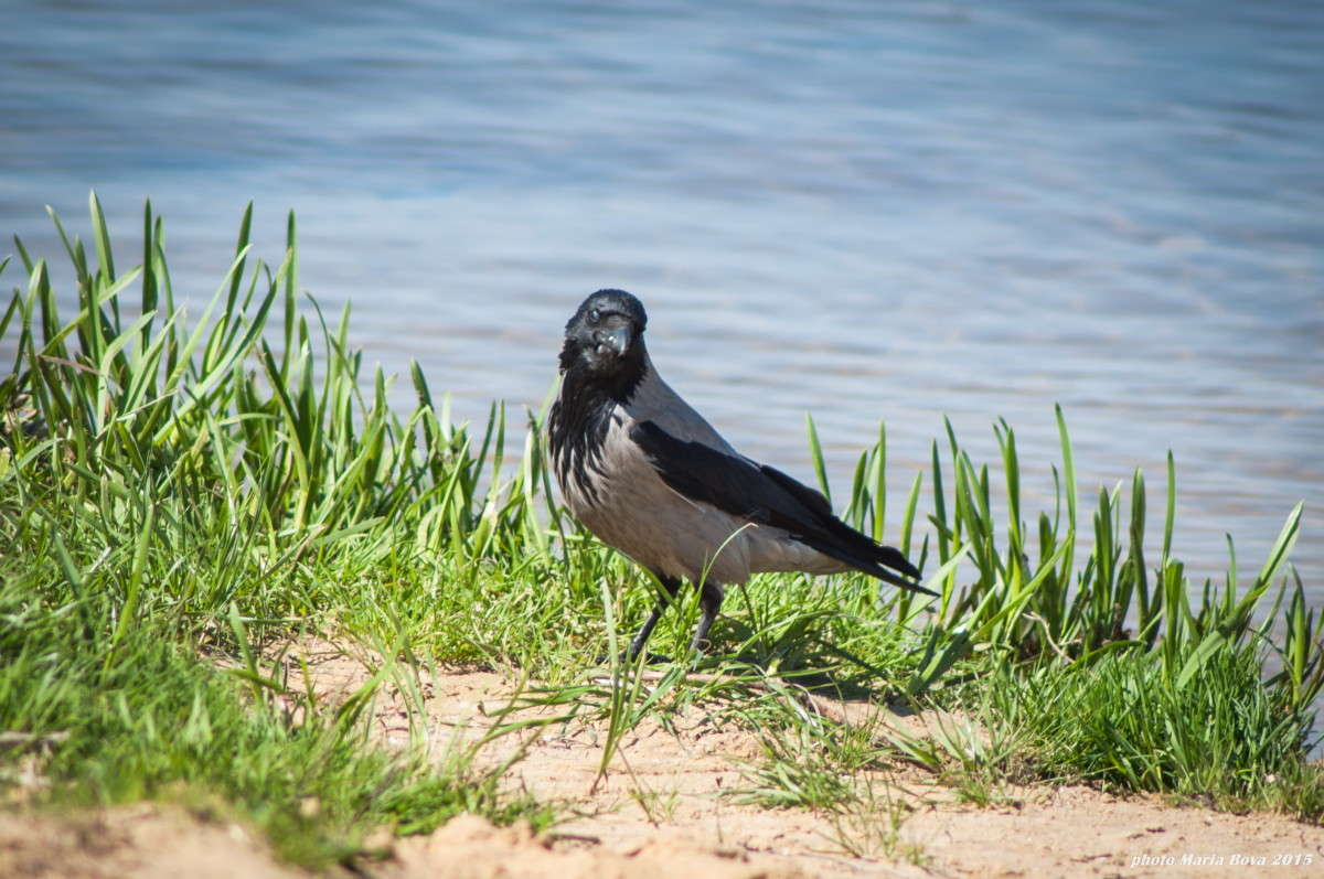 ������ ����! ����� ����� ���� �� PhotoGeek.ru #�������� ���