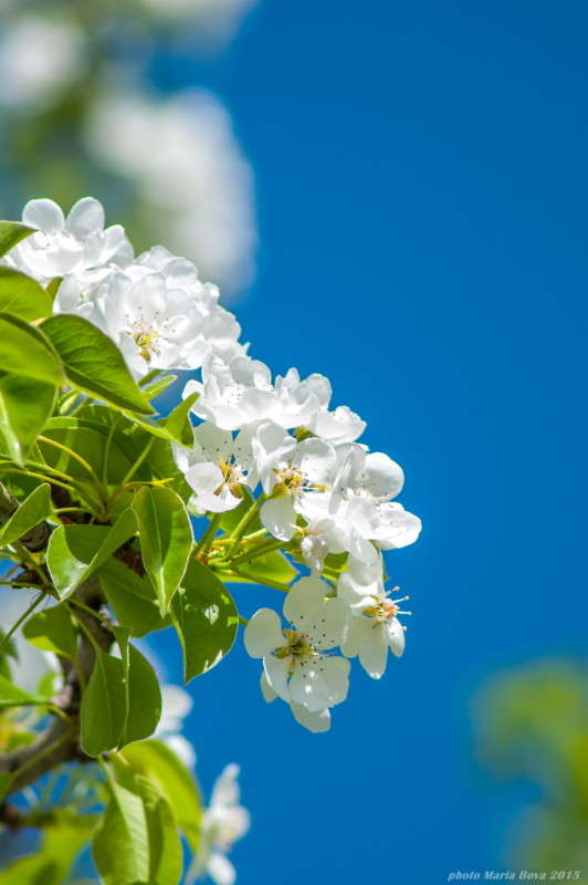 �������� ����������! ����� ����� ���� �� PhotoGeek.ru #������ ��� �������