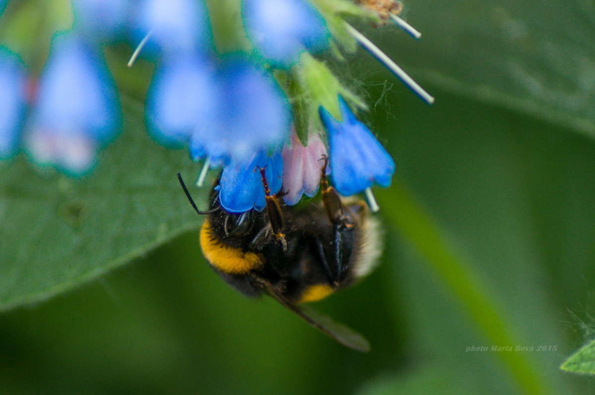 ������ "�����������" ����� ����� ���� �� PhotoGeek.ru #����� #�������� ���