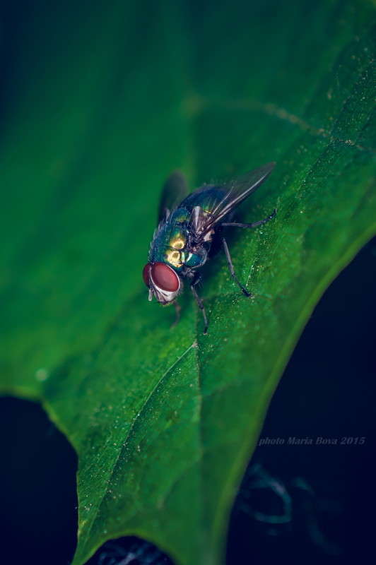 ����� ����� ����� ���� �� PhotoGeek.ru #�����