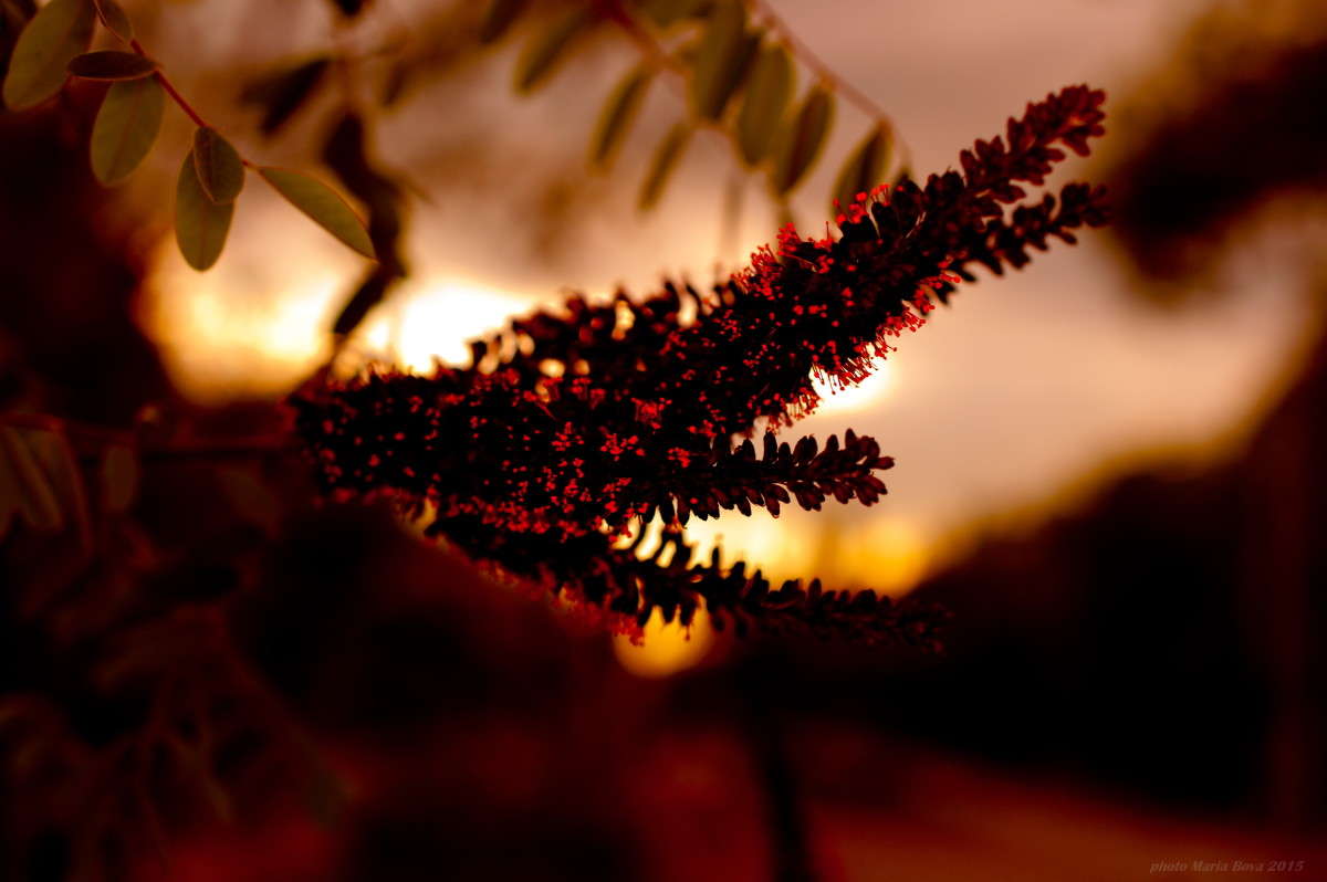 �� ������ ����� ����� ���� �� PhotoGeek.ru