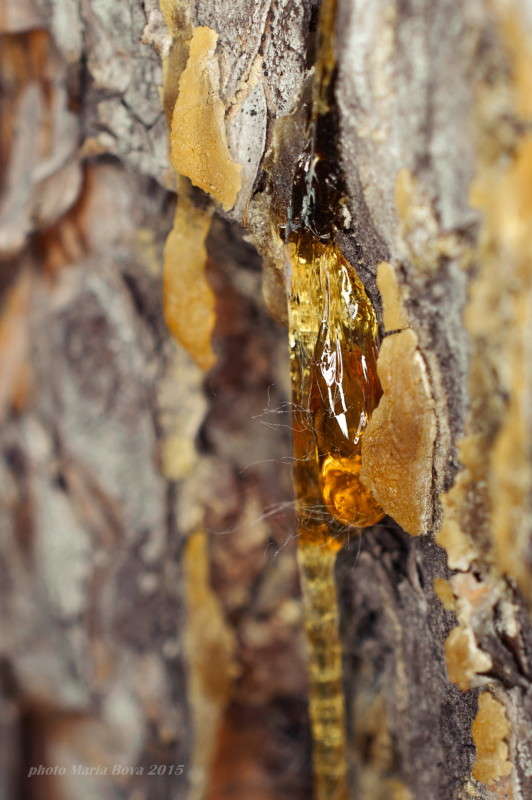 �������� ����� ����� ����� ���� �� PhotoGeek.ru #����� #������ ��� �������