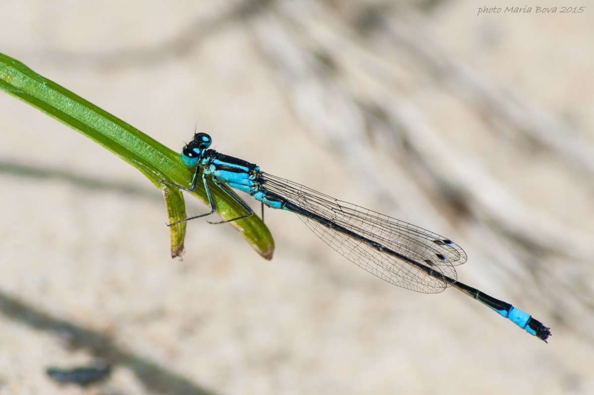 ���-���� ����� ����� ���� �� PhotoGeek.ru #����� #�������� ���