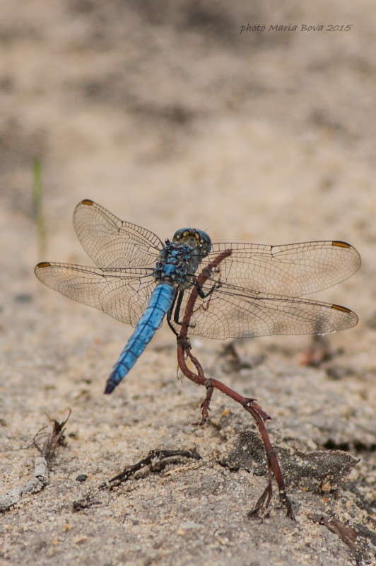 ����� ����, ���������, �����! ����� ����� ���� �� PhotoGeek.ru #����� #�������� ���