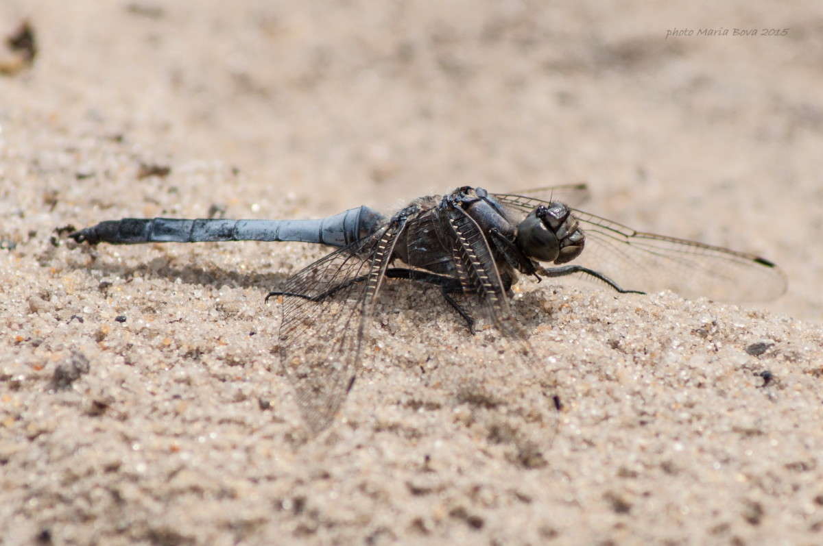 ������� ����� ����� ���� �� PhotoGeek.ru #����� #�������� ���