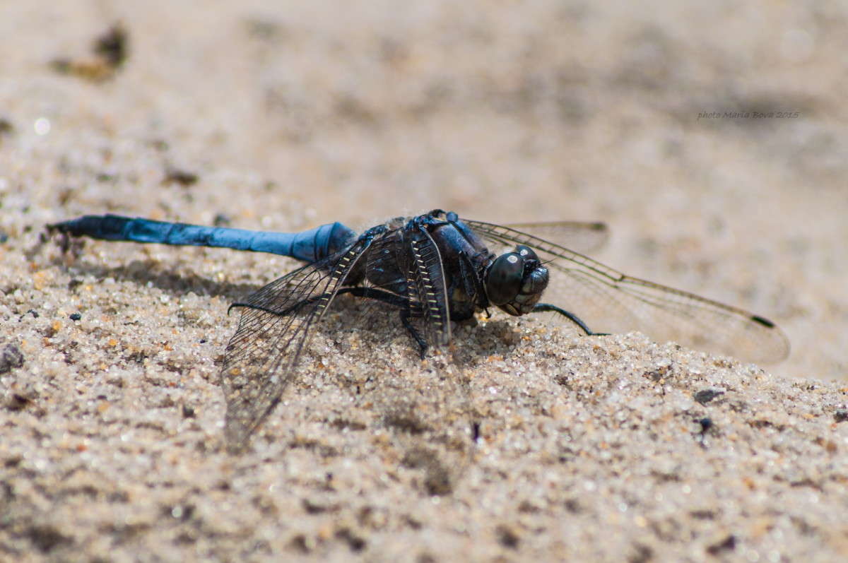 �������� ����� ����� ����� ���� �� PhotoGeek.ru #�����