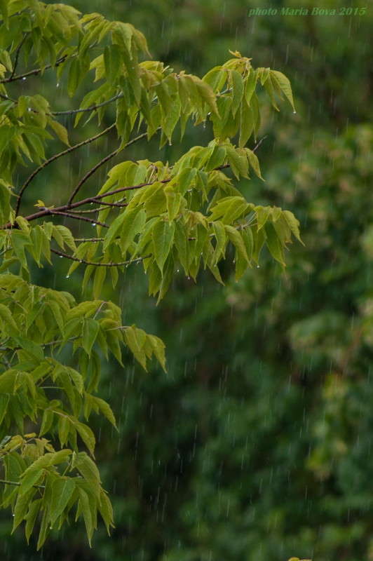 ��������� ���������� ����� ����� ���� �� PhotoGeek.ru #������ ��� �������