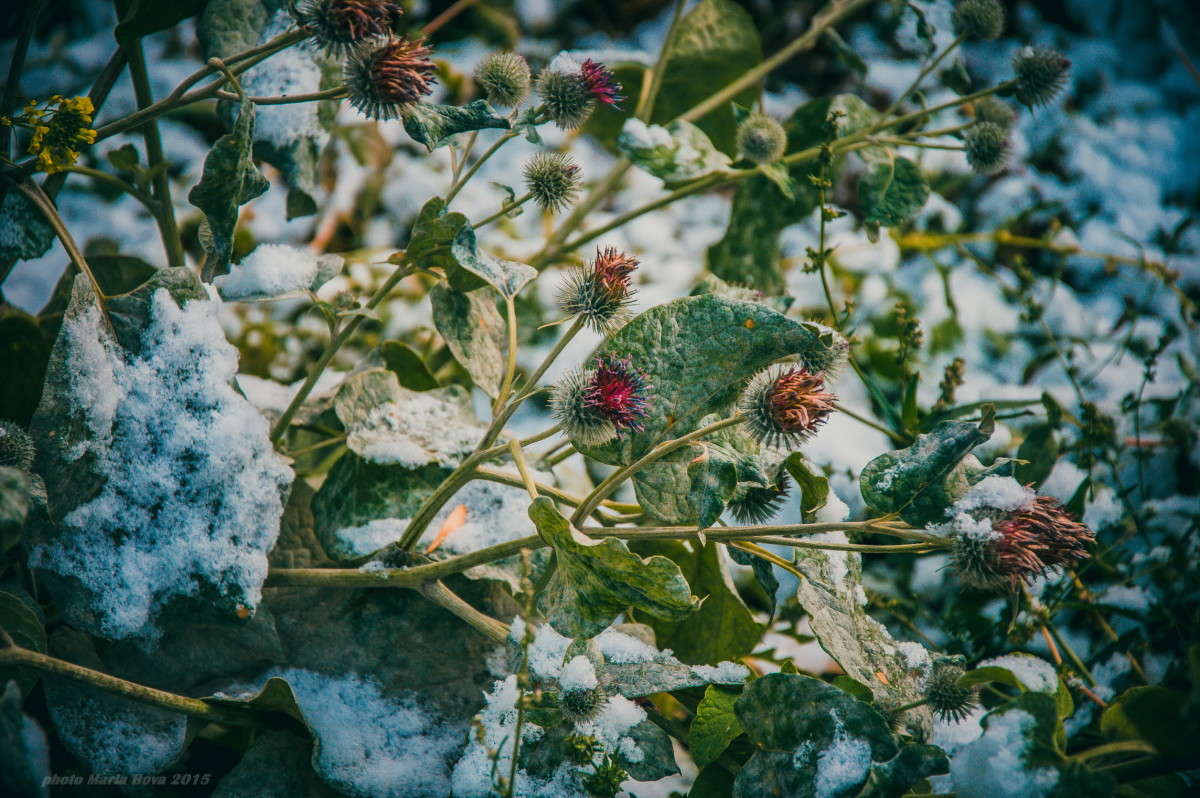 ����� � ������...������ ��������... ����� ����� ���� �� PhotoGeek.ru #������ ��� �������