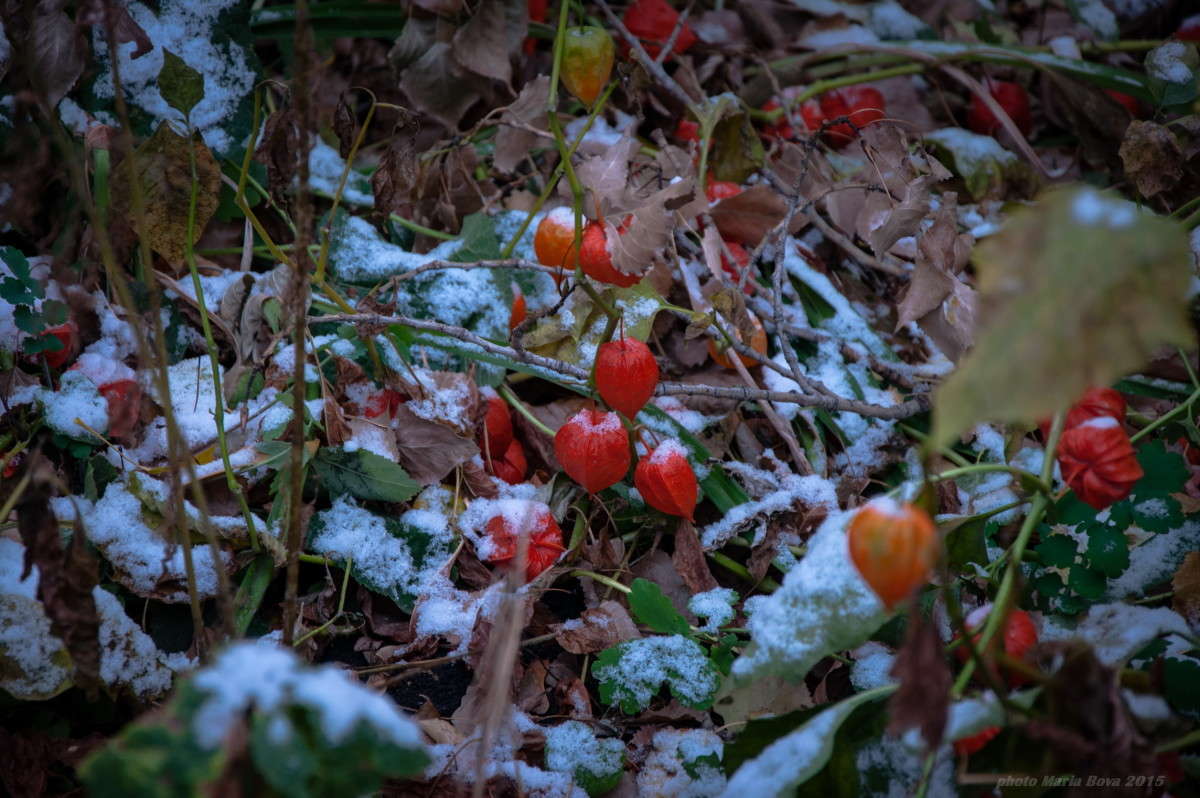 ��������� ����� ����� ���� �� PhotoGeek.ru #������ ��� �������