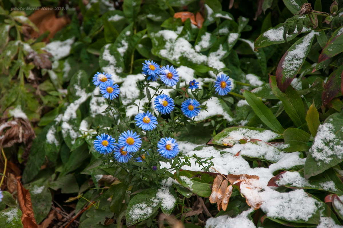 ����� ����������� ����� ����� ���� �� PhotoGeek.ru #����� #������ ��� �������