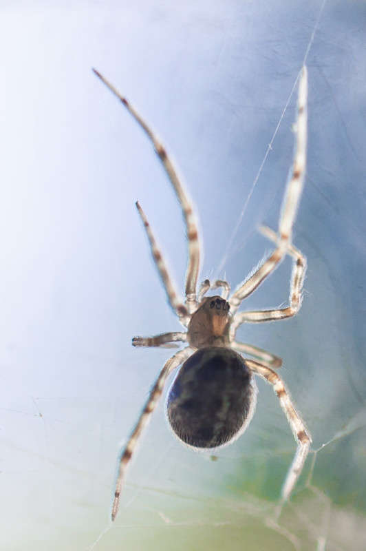 ������ ����� ����� ���� �� PhotoGeek.ru #����� #�������� ���