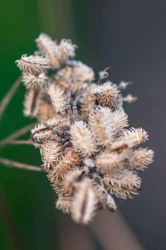 ������ ����� ����� ���� �� PhotoGeek.ru #������ ��� �������