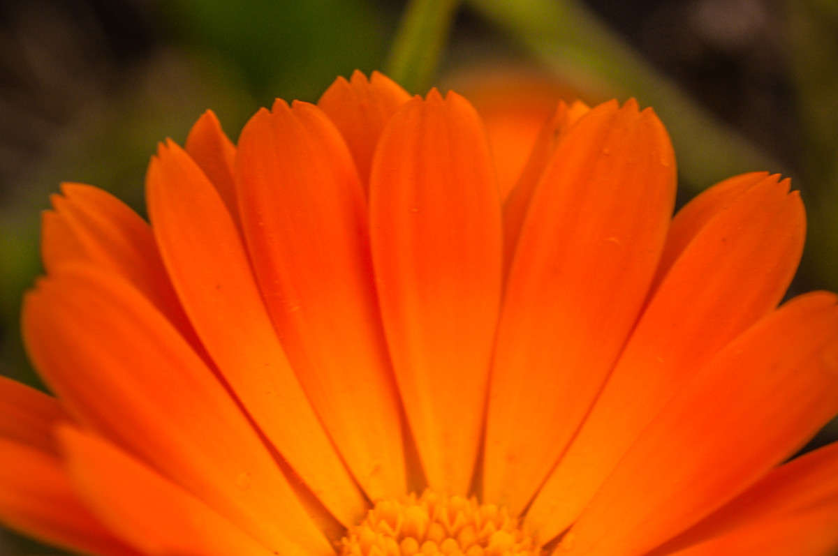 ��������� ���������� ����� ����� ���� �� PhotoGeek.ru #����� #������ ��� �������