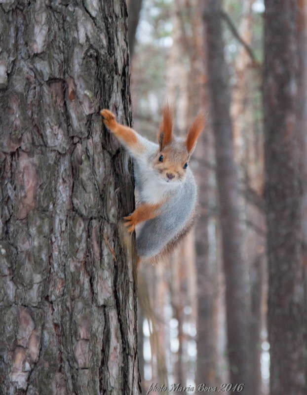 ������ ����� ����� ���� �� PhotoGeek.ru #�������� ��� #������ ��� �������