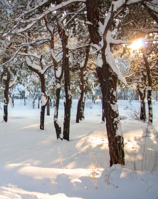 ������ �������� ����� ����� ���� �� PhotoGeek.ru #������ ��� �������