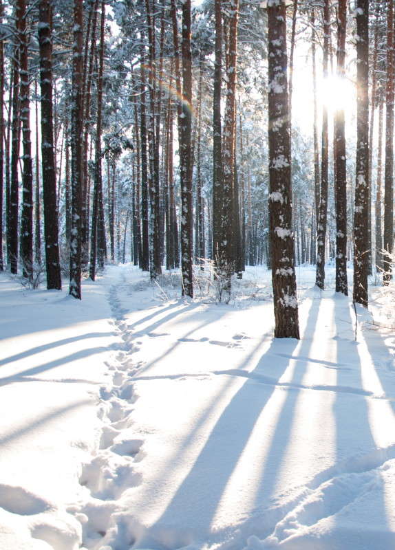 ������ �������� ����� ����� ���� �� PhotoGeek.ru #������ ��� �������