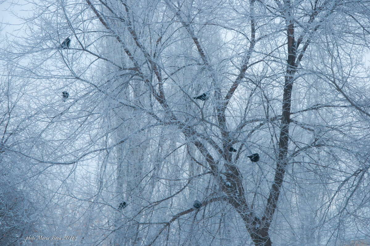 ������ ������ ������ � ��� ����� ����� ����� ����� ���� �� PhotoGeek.ru #����� #�������� ��� #������ ��� �������