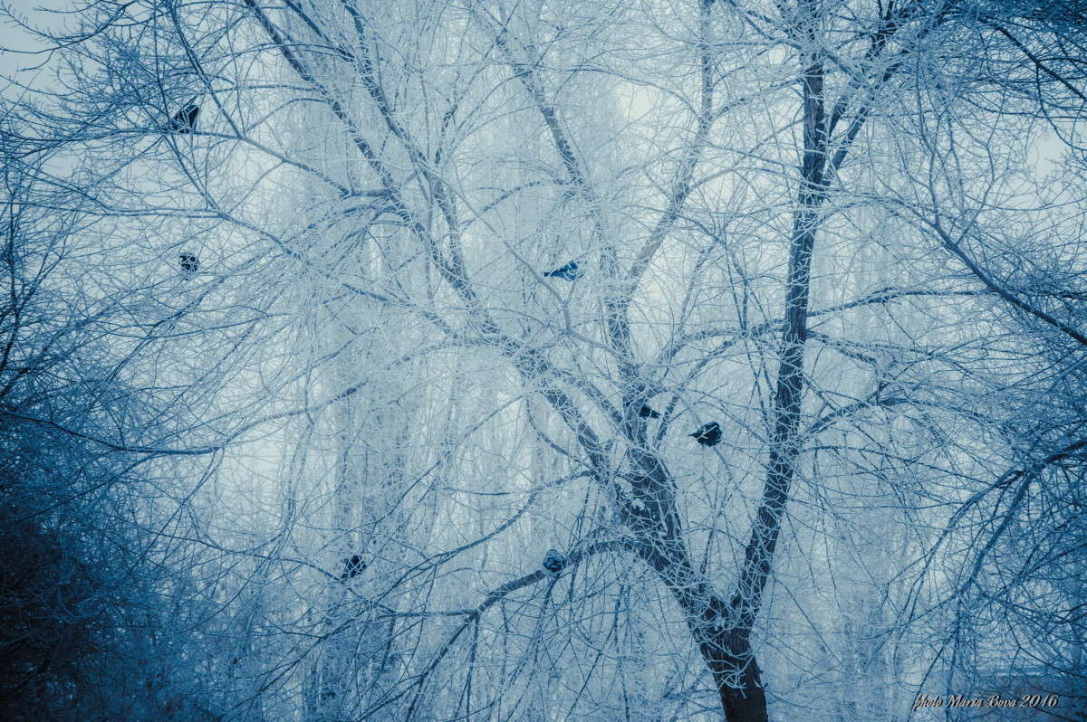 ������� ������ ���� ����� ����� ���� �� PhotoGeek.ru #����� #�������� ��� #������ ��� �������