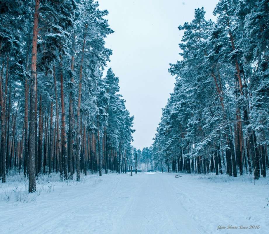 ... ����� ����� ���� �� PhotoGeek.ru #������ ��� ������� #����� �������������� #������ #����� ��������