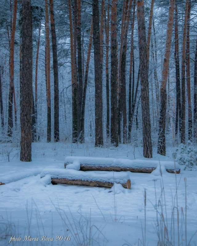 ... ����� ����� ���� �� PhotoGeek.ru #������ ��� ������� #����� �������������� #������ #����� ��������