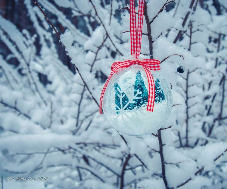 ���������� ���������� ����� ����� ���� �� PhotoGeek.ru #������ ��� ������� #�������� ����������