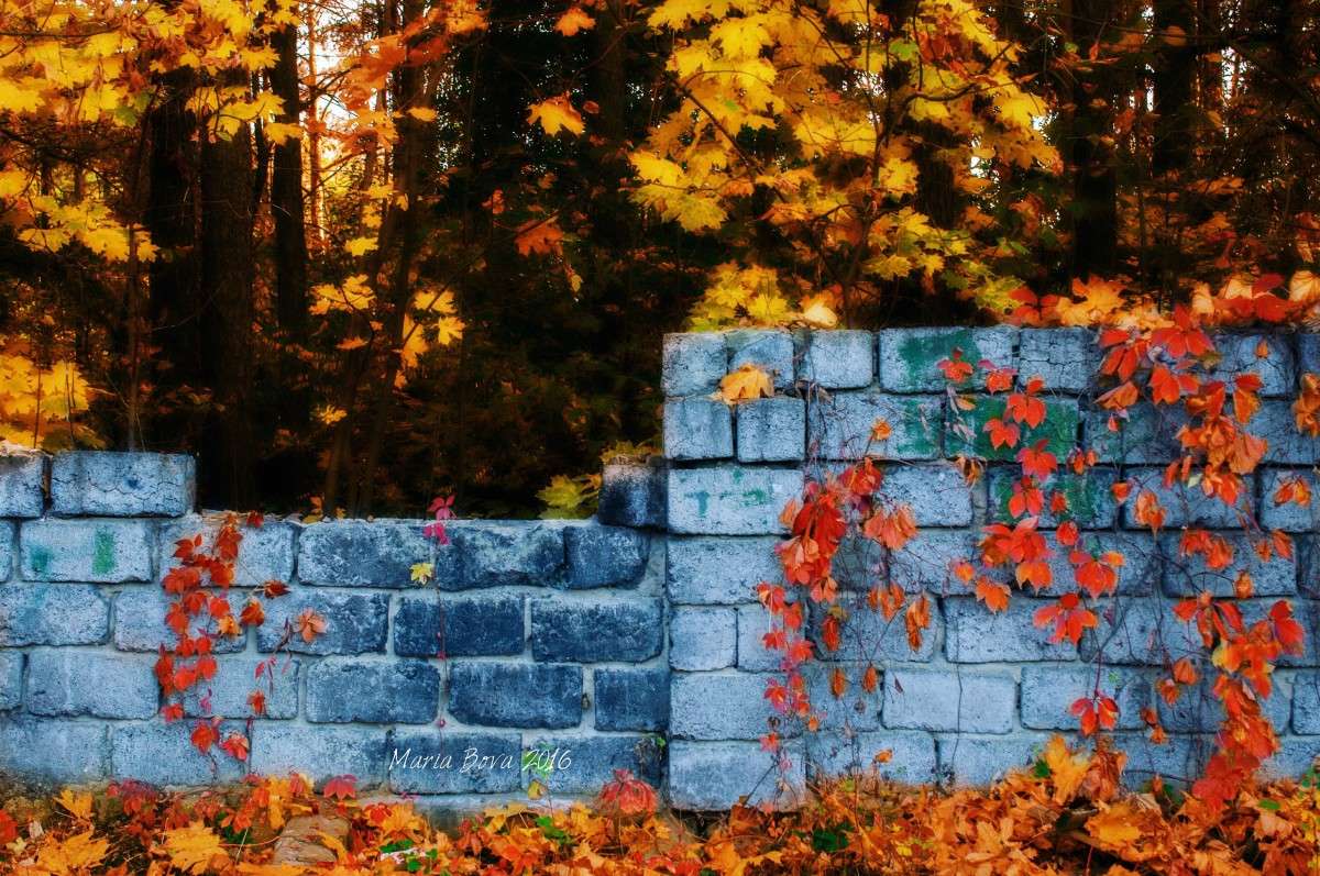 ����� - ����� �������� ����� ����� ���� �� PhotoGeek.ru #������ ��� ������� #����������� #����� �������������� #��������� #������