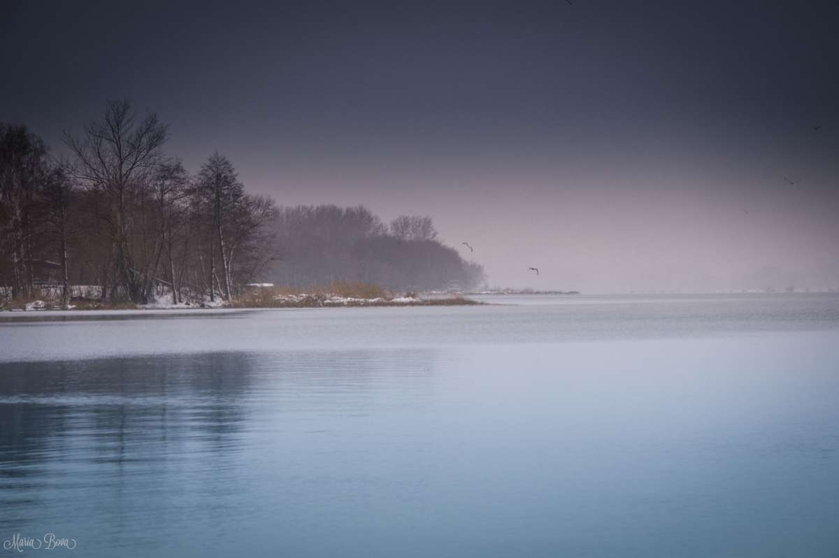 Морозная тишина автор Мария Бова на PhotoGeek.ru #Город #Пейзаж или природа #Городской пейзаж #Разное