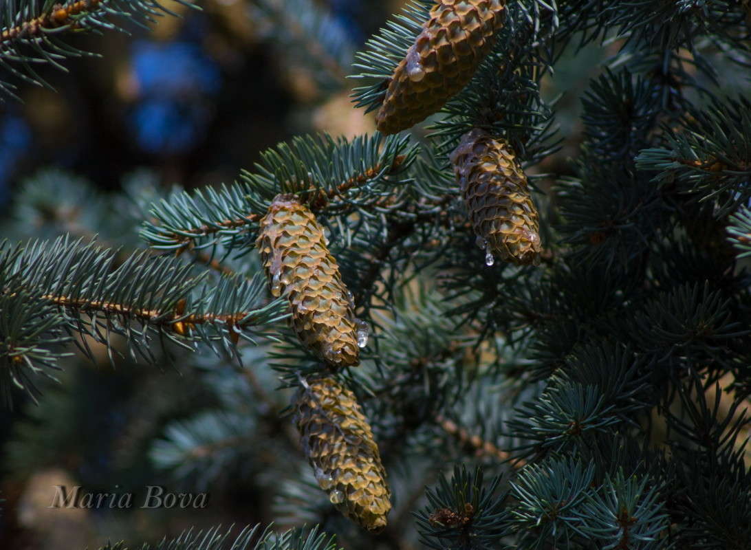 ����� � �������� ������ ����� ����� ���� �� PhotoGeek.ru #������ ��� ������� #����� ��������������