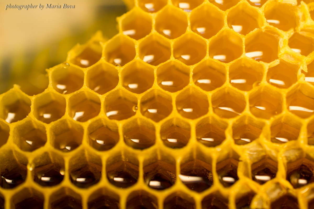 ������� ����� ����� ����� ���� �� PhotoGeek.ru #�����