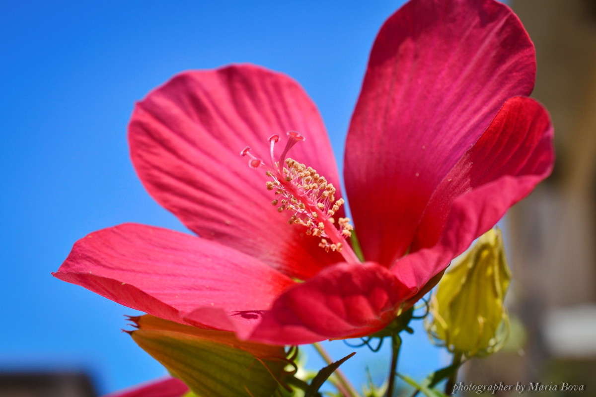 ������� � ������ ������ ����� ����� ���� �� PhotoGeek.ru #����� #������ ��� ������� #����� ��������������