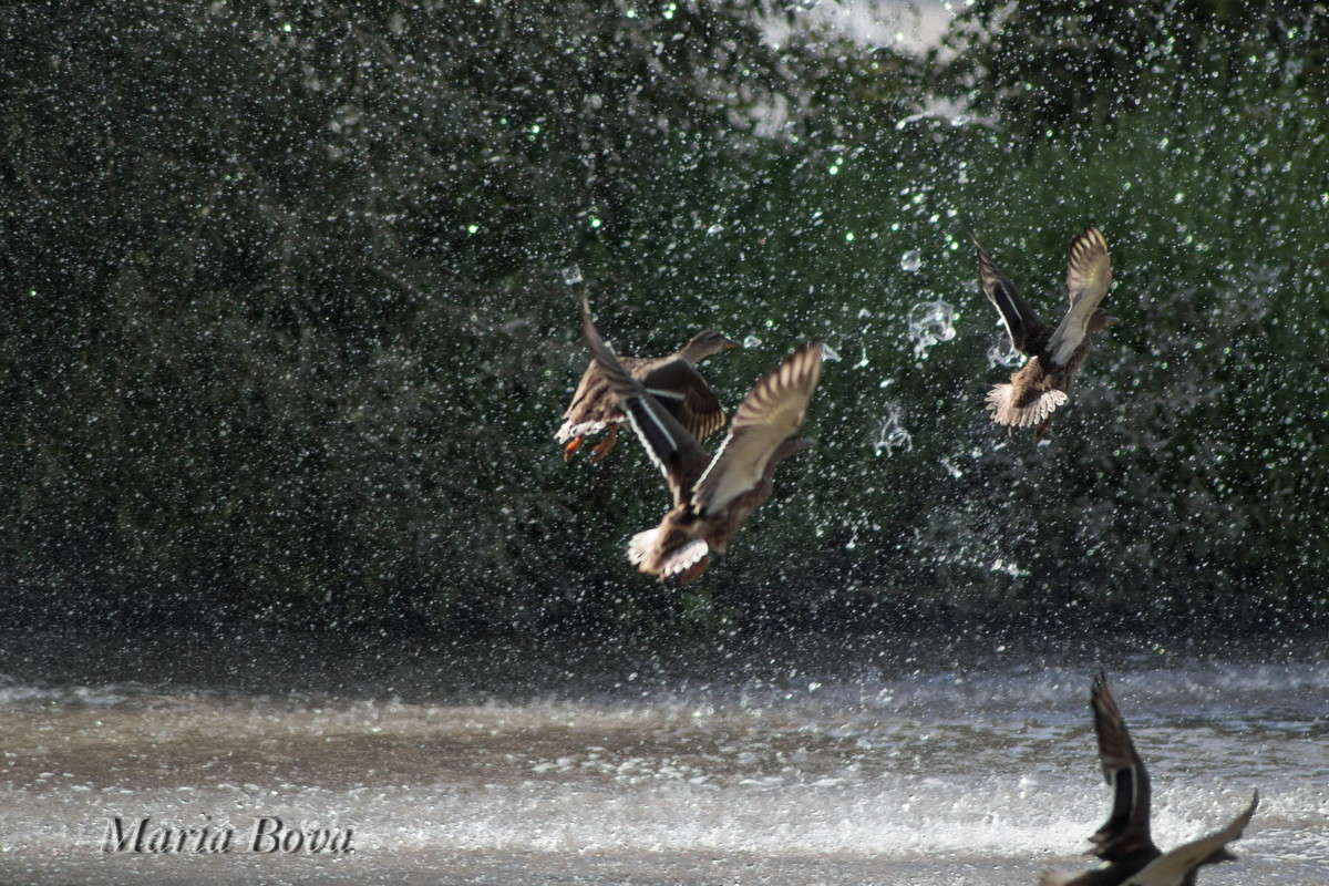 �������� ����� ����� ���� �� PhotoGeek.ru #�������� ��� #����� ��� ��� ���������