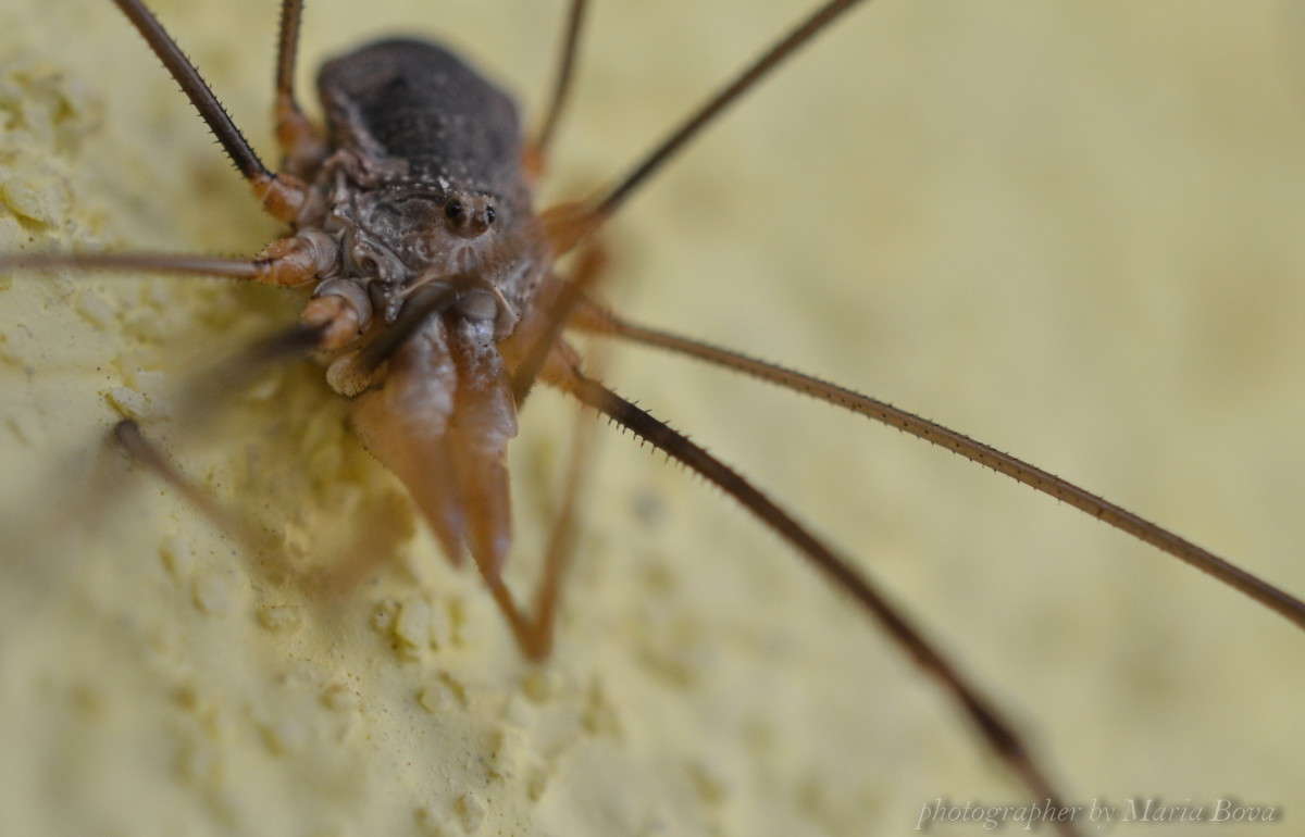 � ������ ����� ����� ���� �� PhotoGeek.ru #����� #���������