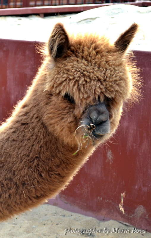 ��-��... ����� ����� ���� �� PhotoGeek.ru #�������� ���