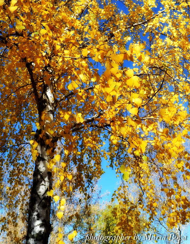 ���������� ����� ����� ���� �� PhotoGeek.ru #������ ��� �������