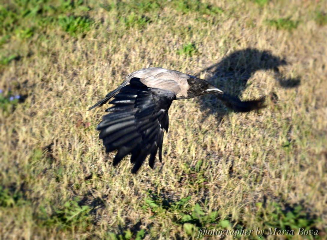 �� ����� ����� ����� ���� �� PhotoGeek.ru #�������� ���