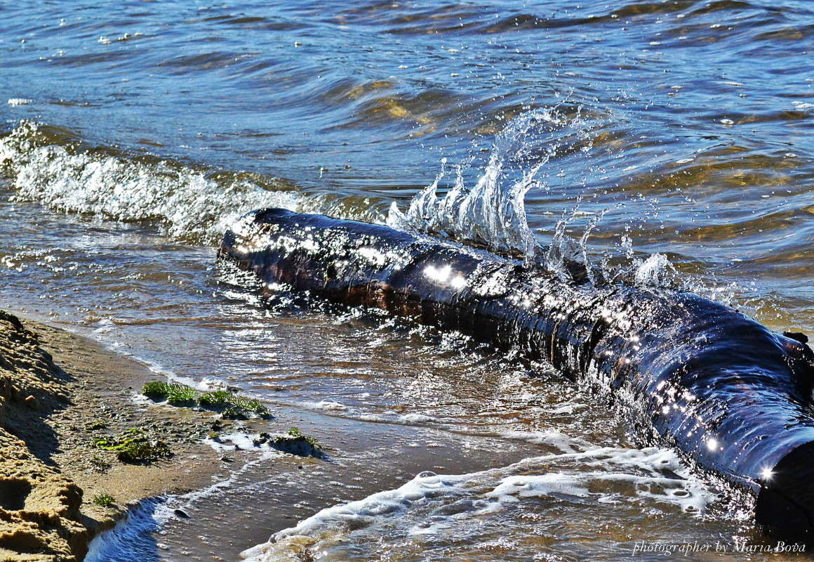 ������� ����� ����� ���� �� PhotoGeek.ru #������ ��� �������