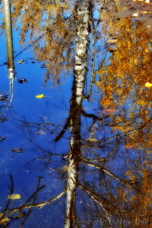 ������� ����� � ����� ����� ����� ���� �� PhotoGeek.ru #������ ��� �������