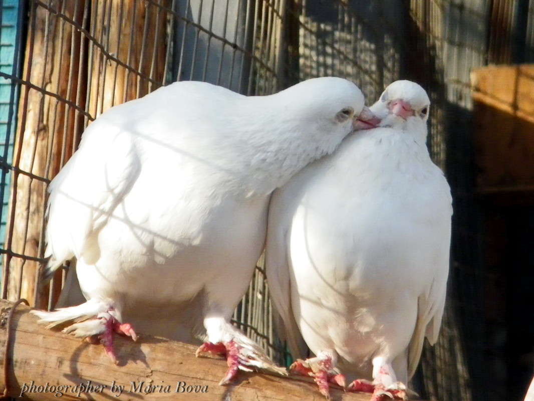 ��� �������! ����� ����� ���� �� PhotoGeek.ru #�������� ���