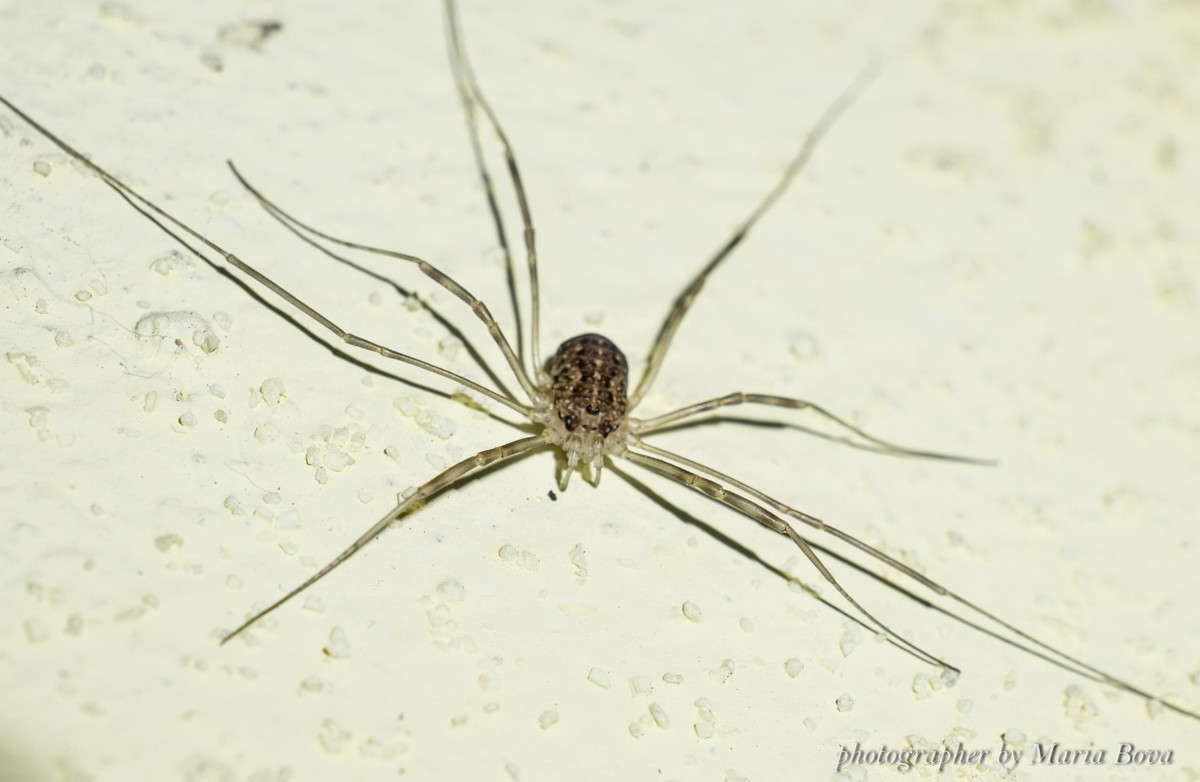 ������ ����� ����� ���� �� PhotoGeek.ru #�����